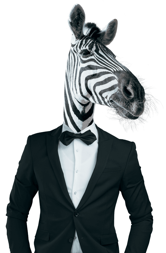 Zebra Head Shoulders